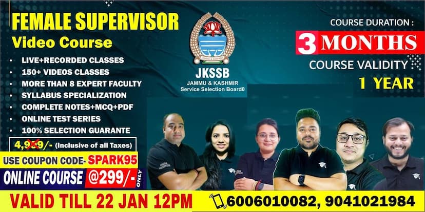 Spark Institute
